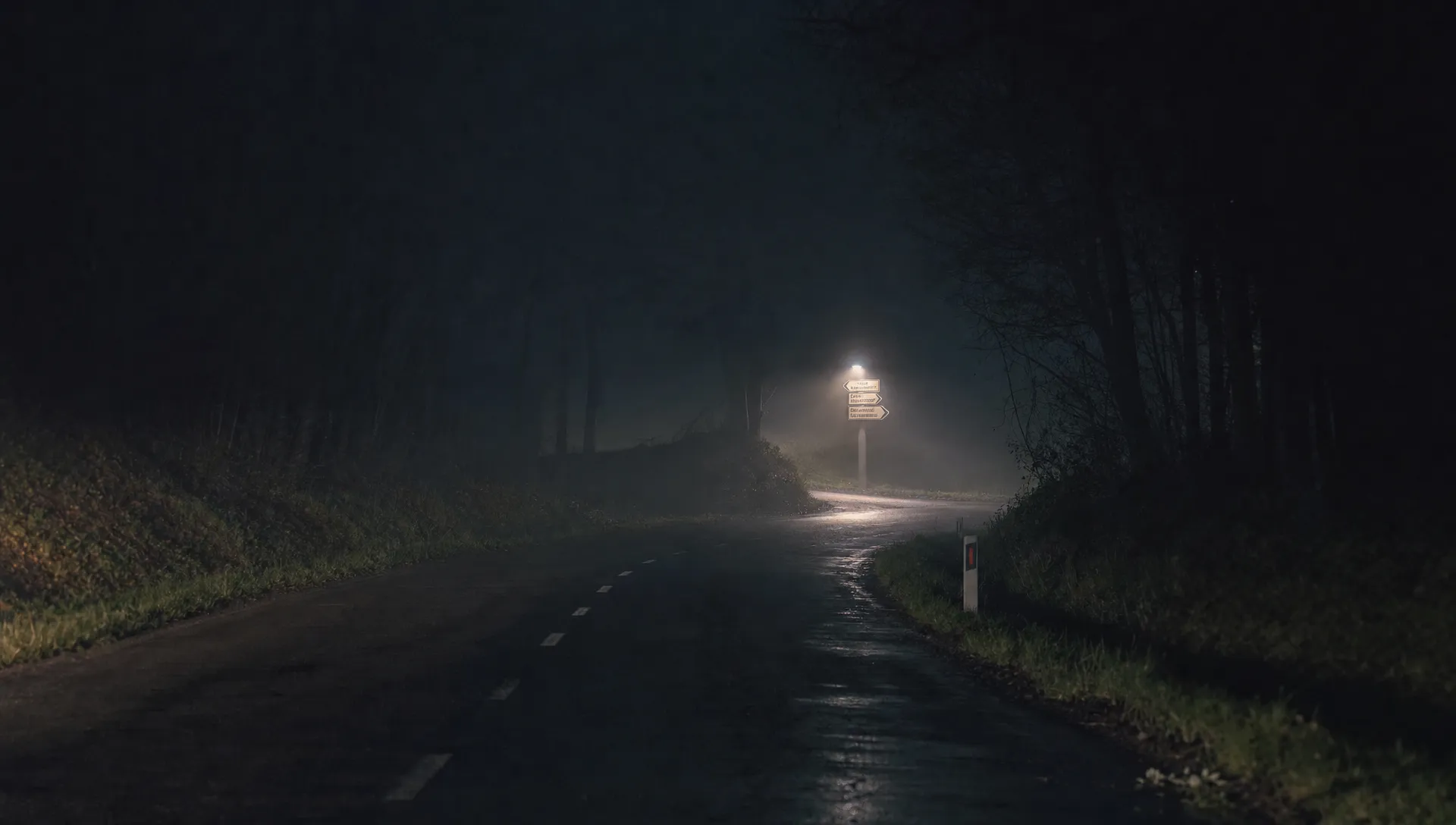A dark country road at night with a single illuminated signpost in the distance, surrounded by mist and deep shadows, suggesting the search for direction and visibility.