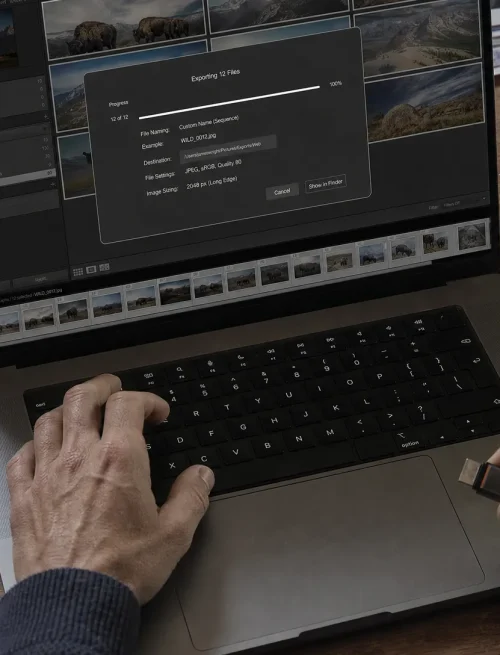 Hands check resized website images on a workstation while preparing files for better SEO.
